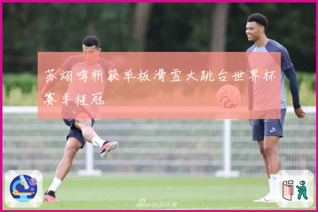 苏翊鸣斩获单板滑雪大跳台世界杯赛季桂冠