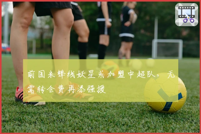 前国米锋线妖星或加盟中超队，无需转会费再添强援
